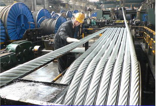 技術(shù)創(chuàng)新驅(qū)動(dòng)發(fā)展 貴州鋼繩以研發(fā)優(yōu)勢(shì)筑牢核心競(jìng)爭(zhēng)力